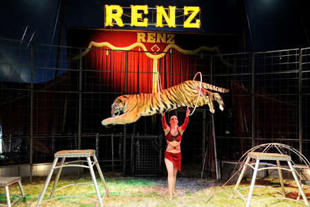 Circus Renz Zuidbroek